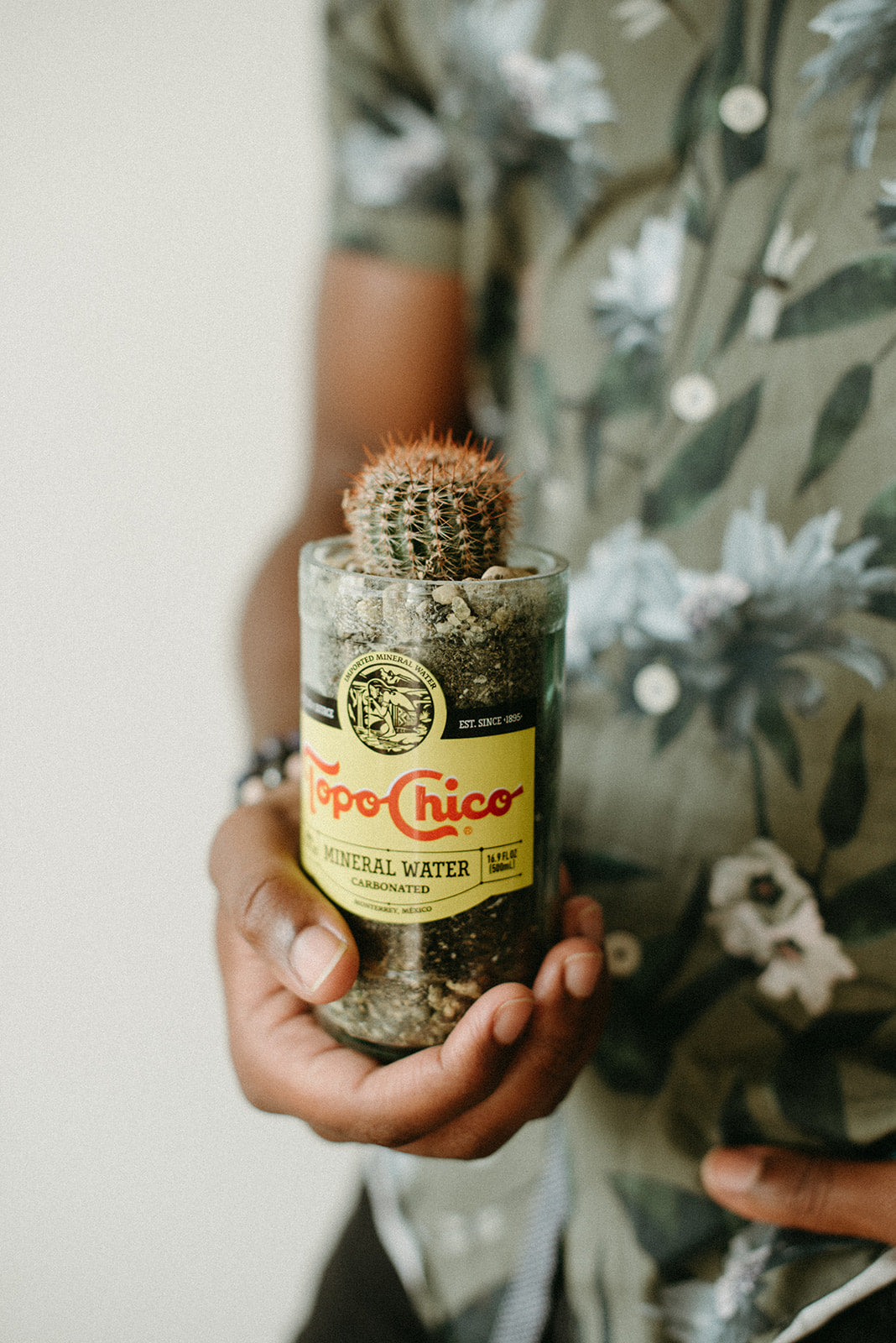 Upcycled Topo Chico Glass Bottle Planter with Drain Hole