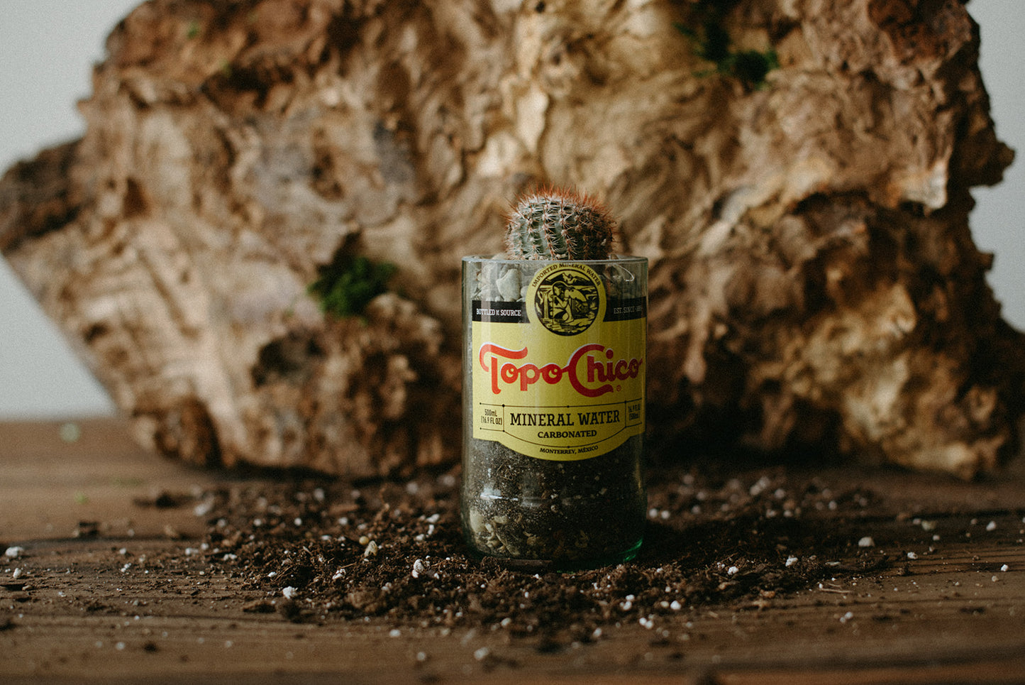 Upcycled Topo Chico Glass Bottle Planter with Drain Hole