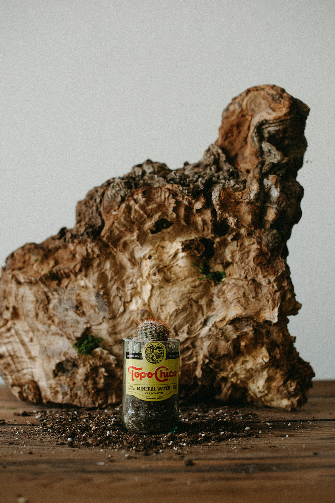 Upcycled Topo Chico Glass Bottle Planter with Drain Hole